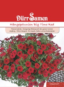 Hängepetunie Big Time Red