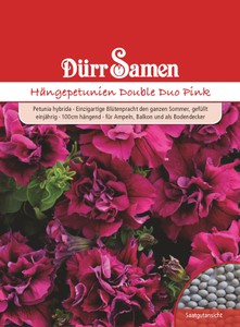 Amerikanischer Amberbaum Exotische Samen von Saflax Samenhaus Samen