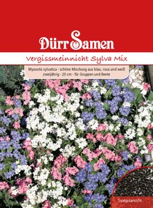 Vergissmeinnicht Sylva Mix