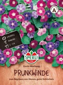 Prunkwinde Presto Mischung