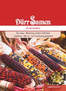 Ziermais Zea bunt