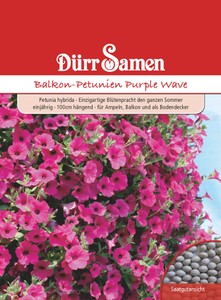 Balkonpetunie Big Time Purple