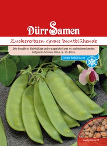 Zuckererbse Graue Buntblühende