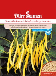 Buschbohne Dickfleischige Wachs Buschbohne Dickfleischige Wachs