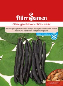 Stangenbohne Blauhilde