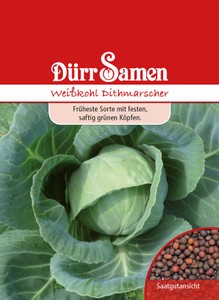 Weißkohl Dithmarscher