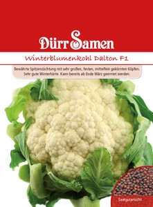 Winterblumenkohl Dalton F1
