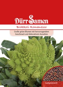 Brokkoli Romanesco
