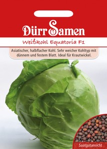 Weißkohl Equatoria F1