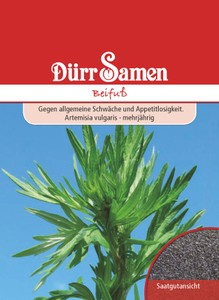 Beifuß [MHD 12/2023]