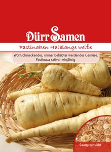 Pastinake Halblange weiße