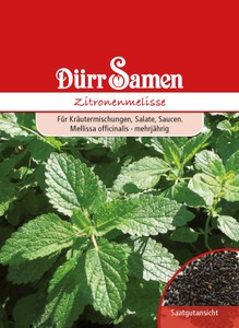 Zitronenmelisse Zitronenmelisse