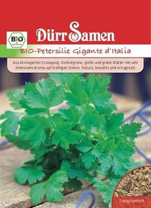 Bio-Petersilie Gigante d'Italia Bio-Petersilie Gigante d'Italia