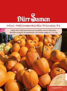 Mini-Halloween-Kürbis Harvest Princess F1 Mini-Halloween-Kürbis Harvest Princess F1