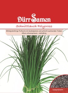 Schnittlauch Polycross