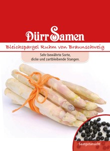 Bleichspargel Ruhm von Braunschweig