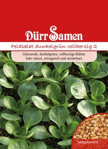 Feldsalat Dunkelgrüner Vollherziger 2