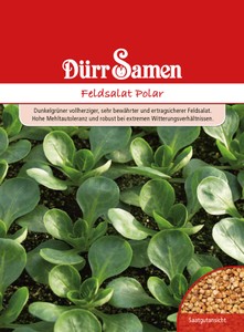 Feldsalat Polar
