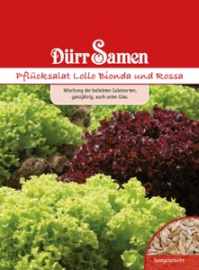 Pflücksalat Lollo Bionda und Rossa