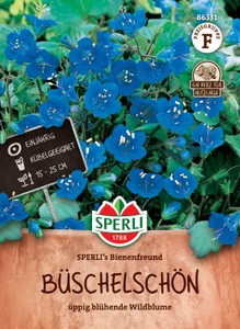 Glockenblume - Büschelschön Bienenfreund