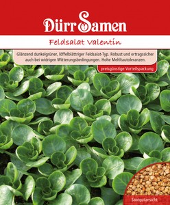 Feldsalat Valentin Großpackung 250 g