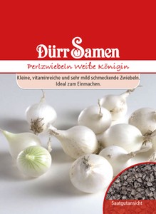 Perlzwiebel Weiße Königin