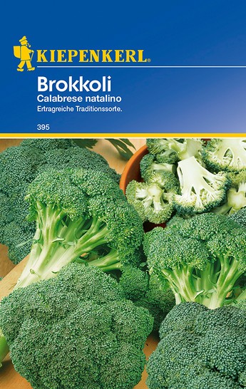 Brokkoli Calabrese natalino Brokkoli Calabrese natalino