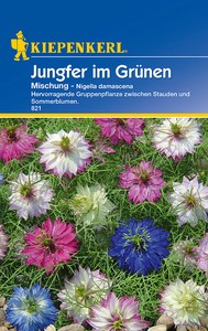 Jungfer im Grünen Mischung