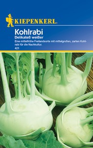 Kohlrabi Delikatess weißer Kohlrabi Delikatess weißer