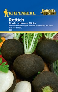 Rettich Runder Schwarzer Winter