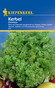 Kerbel Commun Kerbel Commun