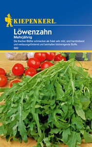 Löwenzahn Mehrjährig