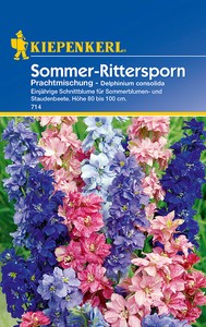 Sommer - Rittersporn Prachtmischung