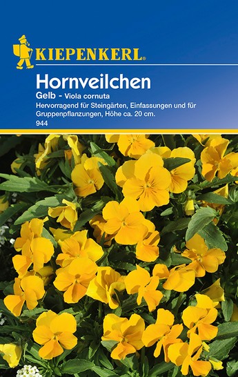 Hornveilchen Gelb Hornveilchen Gelb