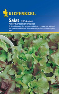 Pflücksalat Amerikanischer brauner Pflücksalat Amerikanischer brauner