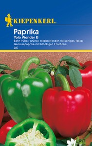 Paprika Yolo Wonder B Paprika Yolo Wonder B