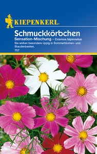 Schmuckkörbchen Sensation - Mischung Schmuckkörbchen Sensation - Mischung