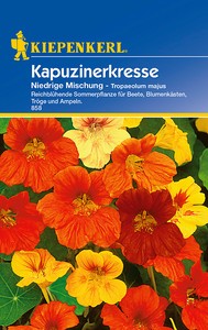Kapuzinerkresse Niedrige Mischung Kapuzinerkresse Niedrige Mischung