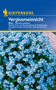 Vergissmeinnicht Blau