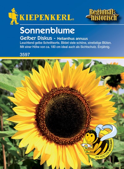 Sonnenblume Gelber Diskus, Sonnenblumensamen von Kiepenkerl