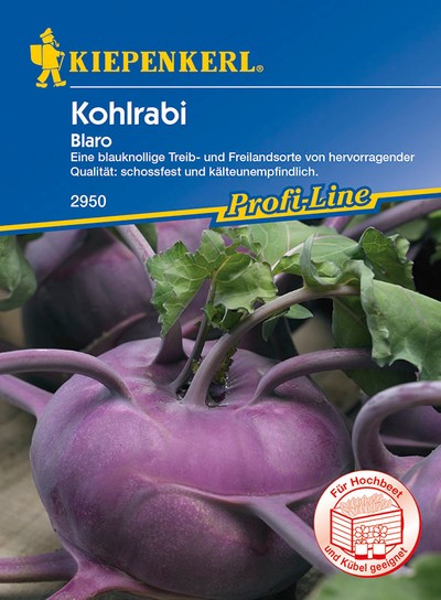Kohlrabi Blaro Kohlrabi Blaro