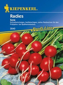 Radies Sora Radies Sora
