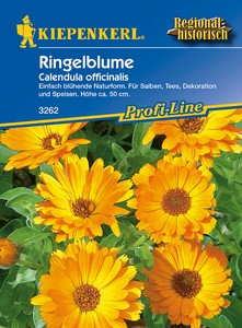 Ringelblume Einjährig