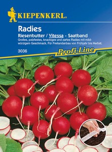 Radies Vitessa, Riesenbutter (Saatband) Radies Vitessa, Riesenbutter (Saatband)