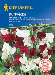 Duftwicke Fire and Ice Duftwicke Fire and Ice
