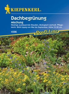 Dachbegrünung Mischung