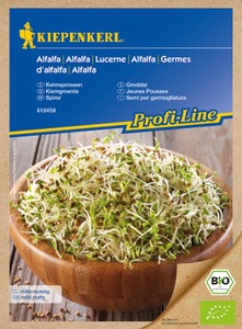 BIO Keimsprossen Alfalfa