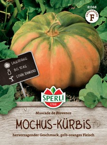 Kürbis Muscade de Provence