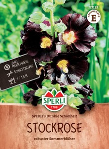Schwarze Stockrose (Stockmalve) Dunkle Schönheit