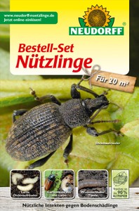 Bestell-Set Nützlinge gegen Bodenschädlinge